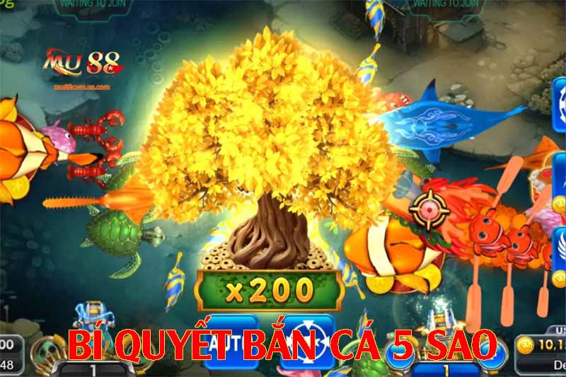 Bí quyết cho hội viên