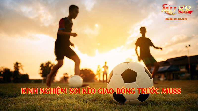 Kinh nghiệm hữu dụng đúc kết từ các lão làng để tối ưu chiến thắng