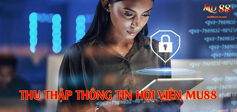 Thu thập thông tin hội viên tại nhà cái này
